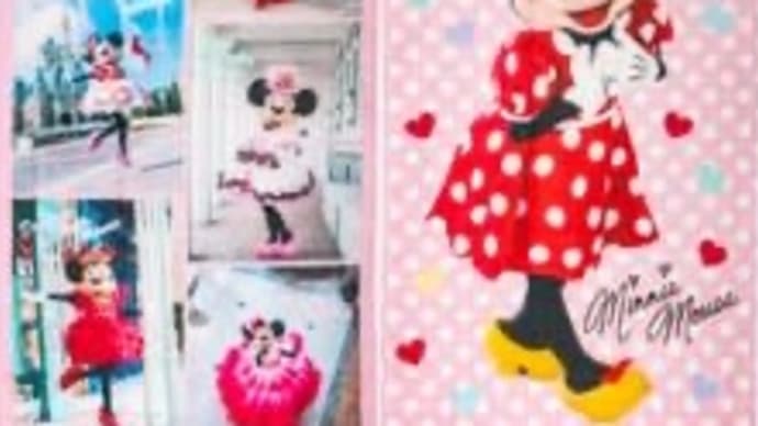 ❤️ ⑤トータリー・ミニーマウスグッズの販売状況❤️