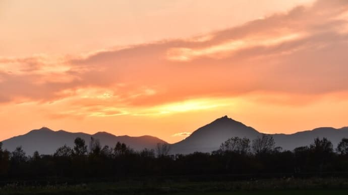 夕空の白鳥と雁