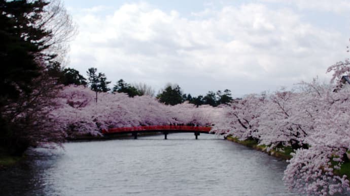 2021年 桜が満開になった 弘前公園 と 猿賀公園 へ