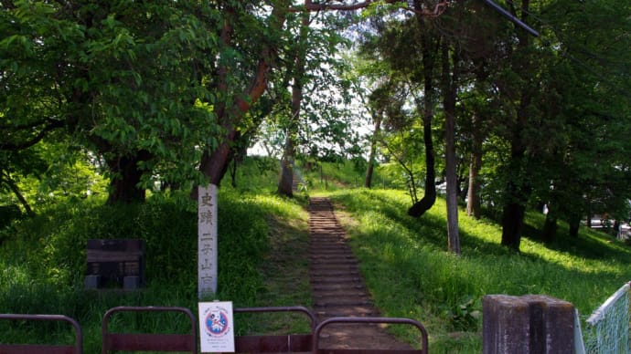 総社二子山古墳/総社古墳群|群馬県前橋市 ~総社古墳群最後の前方後円墳~