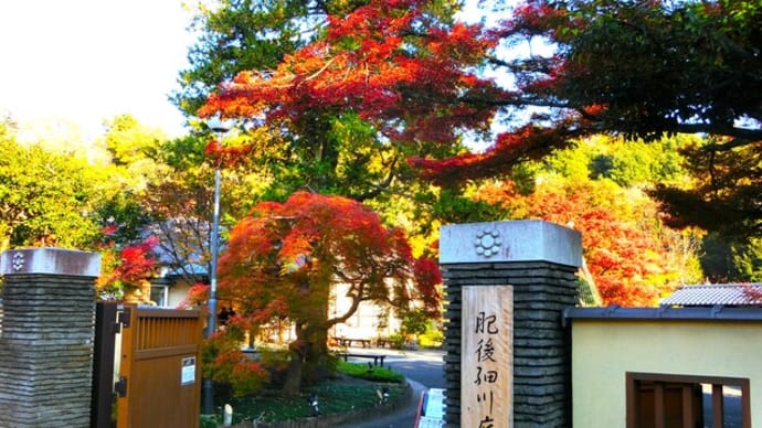 陽光の描く美・灯りの描く美~文京区:肥後細川庭園~