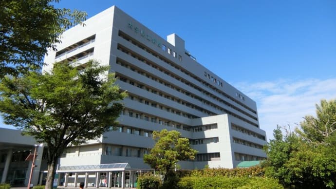 日記1624:RS3PE症候群と診断され5年6か月