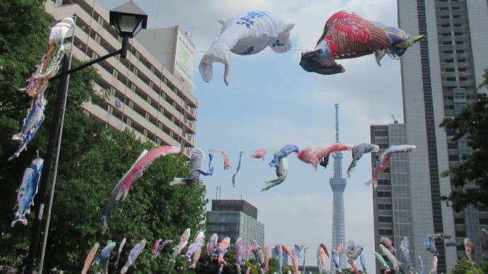 こいのぼりは「鯉」や「秋刀魚」だけやぁ～無いんやでぇ～～！オレ・おれ・俺様を忘れるなぁ～