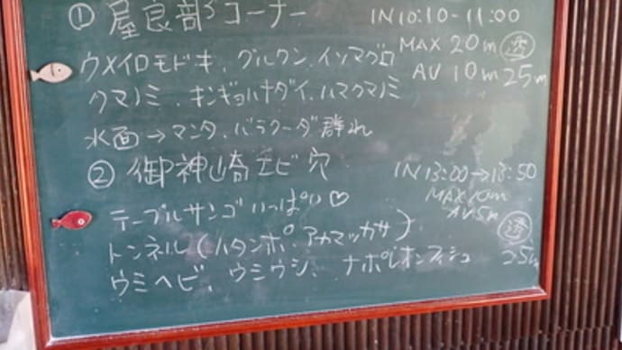 本日のダイビングログ