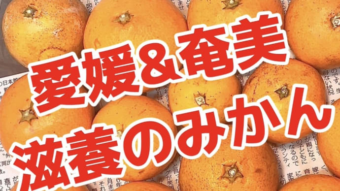 芭蕉布(オカリナ)🎵愛媛&奄美 自然滋養"みかん"の土産