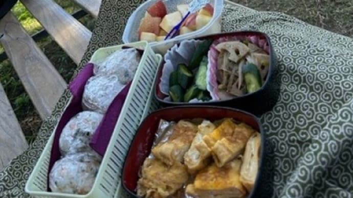 万博公園にピクニック