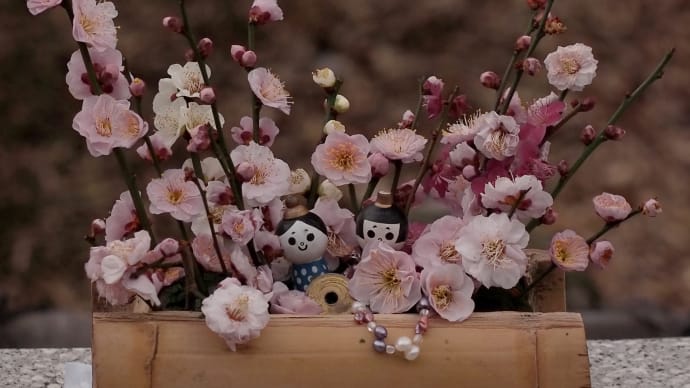 東京 桜の開花宣言出たけど ( ;∀;)