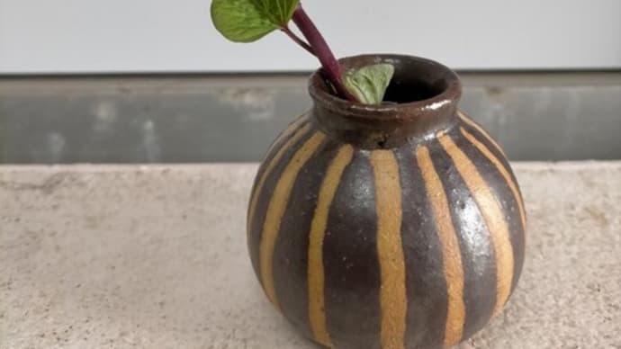 いもの植え付け