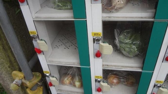 大根100円、スナップエンドウ100円@吉実園