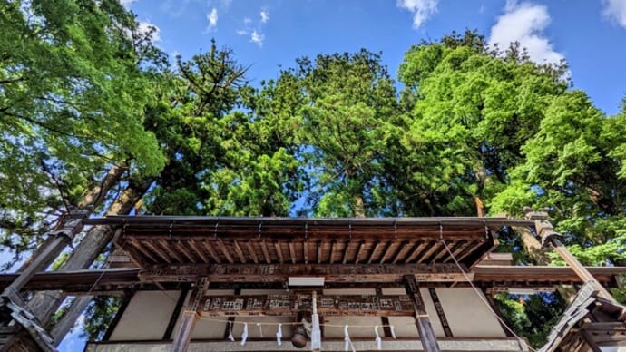 スサノオⅣ.東京・埼玉【武蔵三氷川】奥氷川神社と中氷川神社