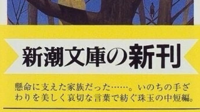 "ある帰宅"佐伯一麦