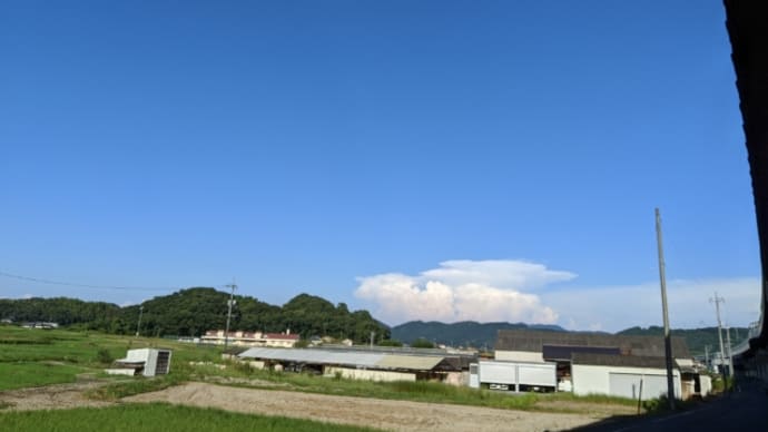 今日も晴天なり~