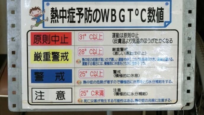 熱中症予防のWBGT℃数値「原則中止」の告知ですが「テニス」をしました