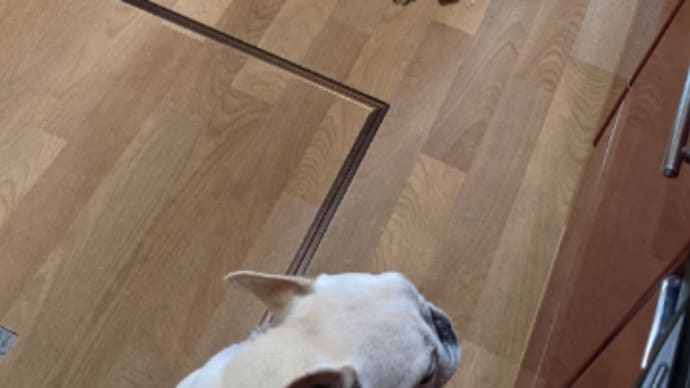 玄関網戸工事と毎日の献立&お弁当とかき氷はじめました!