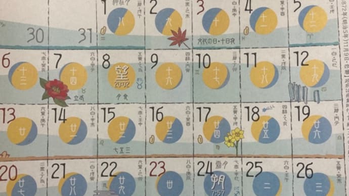 ◉11月の出没予定 2022◉