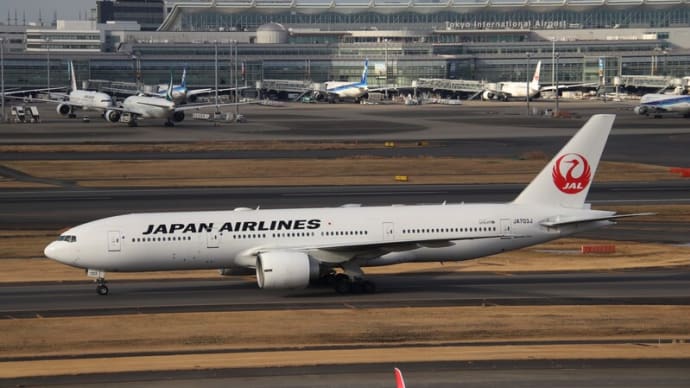 朝の羽田空港2