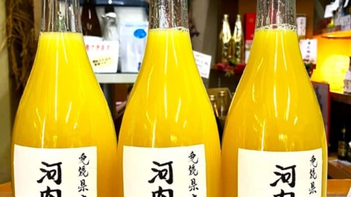 夏の柑橘ジュース