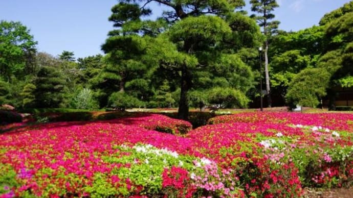 2025年 4月15日(火)の「皇居東御苑」(1)