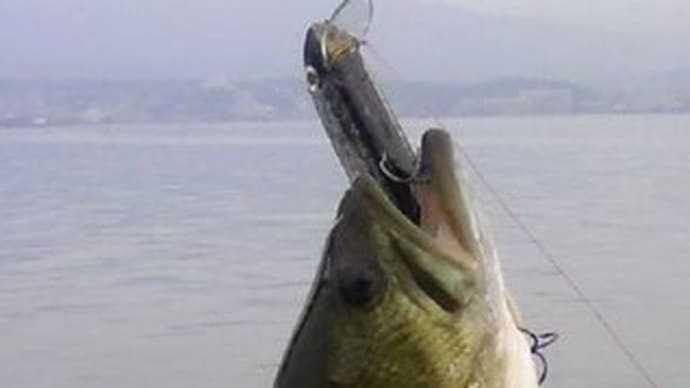 昨日の琵琶湖は?
