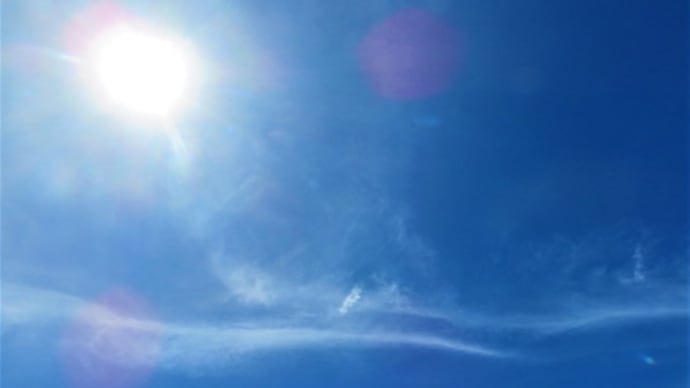 暑い時には水浴びが1番よ~♪