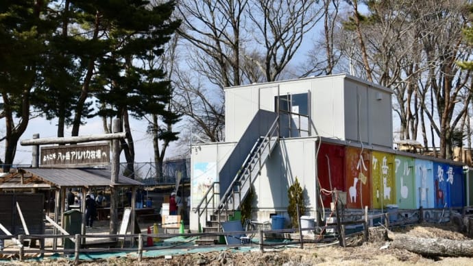2025/3/23 八ヶ岳アルパカ牧場 男の子編