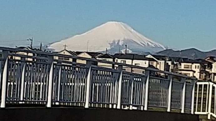 春の兆し