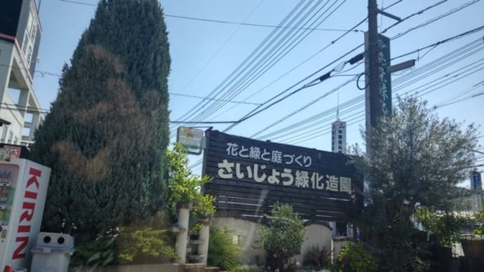 さいじょう緑化造園に行きました。