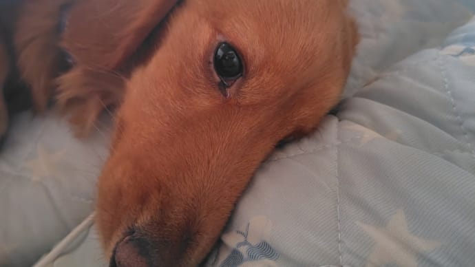 八つ当たり💦