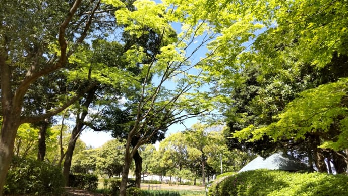 朝散歩で、リフレッシュ♪
