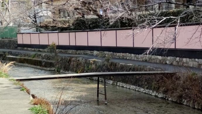 京都国立近代美術館