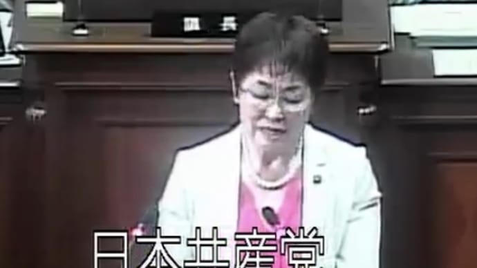 江戸川区議会 定例会 本会議 代表質問 小俣のり子
