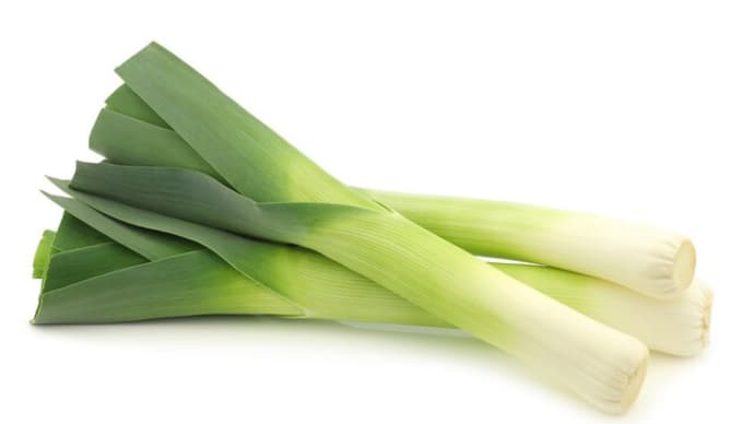 <珍しい野菜> リーキ