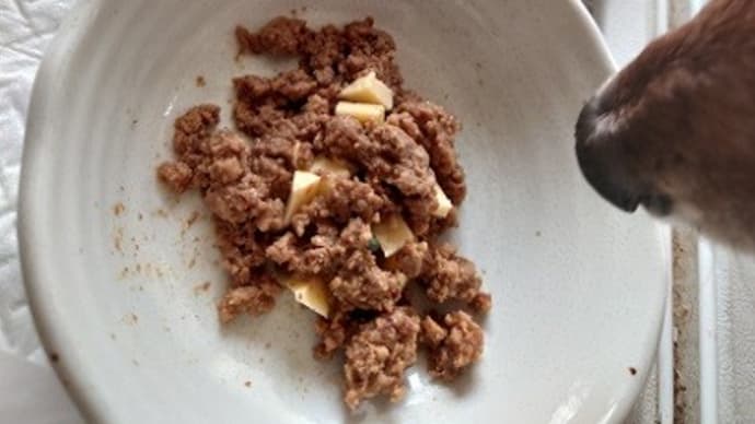 チャロ君、まだ食欲不振。
