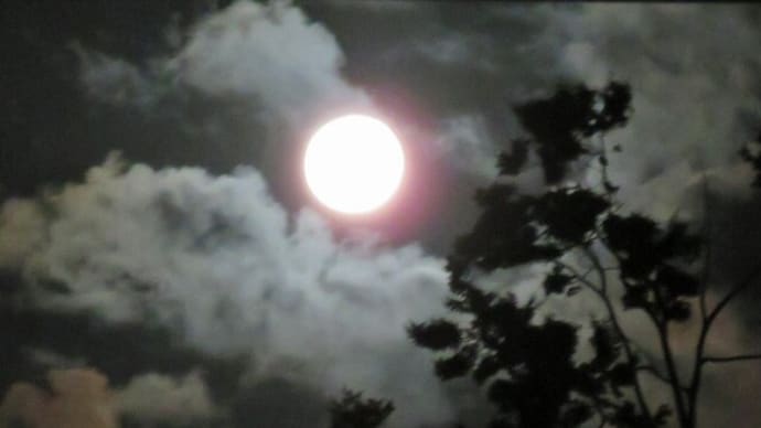 ☆中秋の名月なれど、世に暗雲漂う