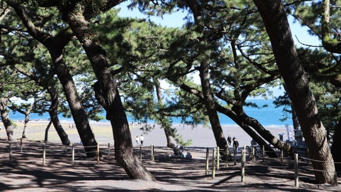 秋の富士山 そして日本平山頂のお茶たいやき旨い!