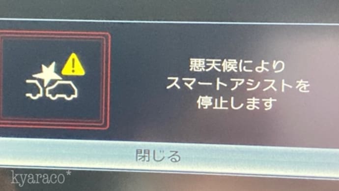 悪天候な時こそ•••