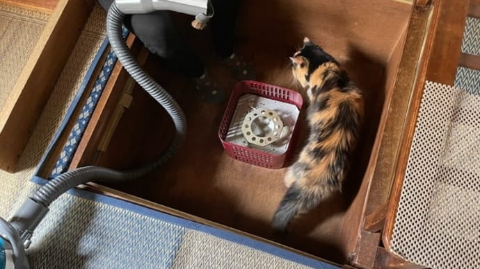 コタツを片付けました