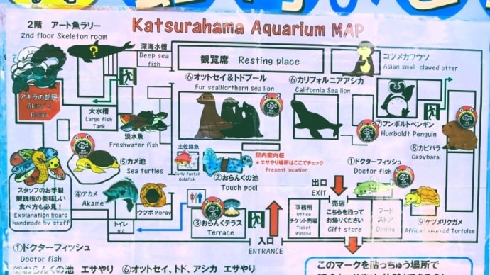 高知旅行記(12)