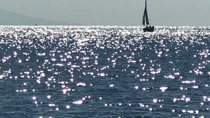 光る海