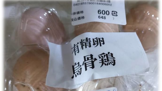 自然薯と烏骨鶏の卵・・・・烏骨鶏卵自然薯コラボのTZKG(たまご自然薯かけごはん)