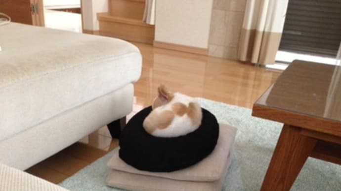 鏡餅