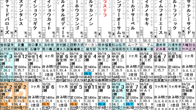 【テラステラ】連闘策は予定通り!? 11/10京都 ドンカスターC・出走確定
