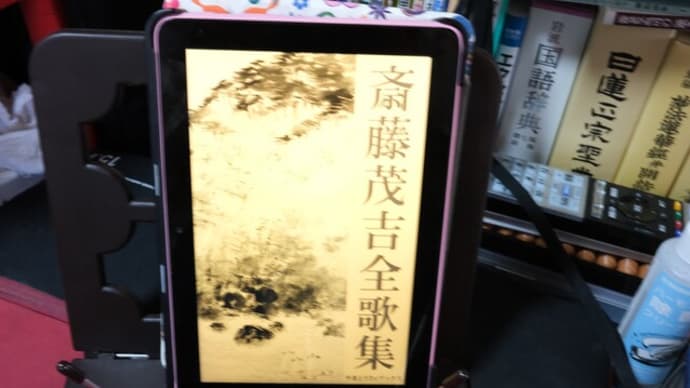 斎藤茂吉全歌集(全18歌集収録)電子書籍を購入