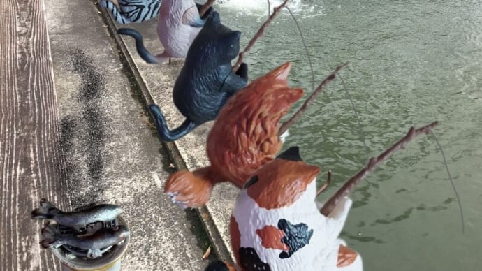 釣り日和