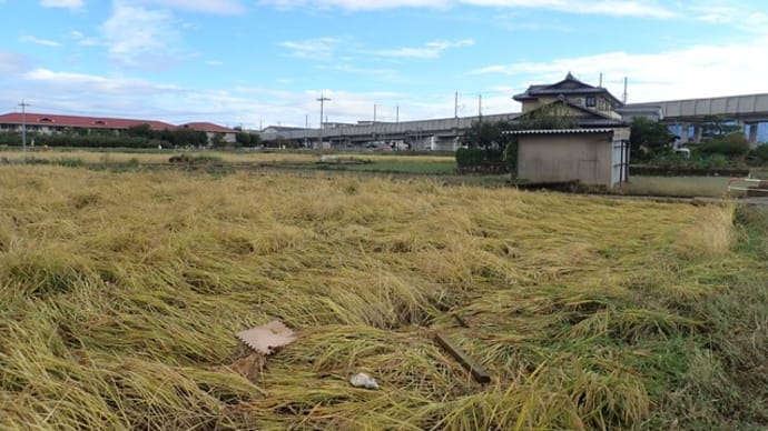 台風19号災害長野県ボランティア活動・・・床下の泥は横から剥ぎ取るべし！