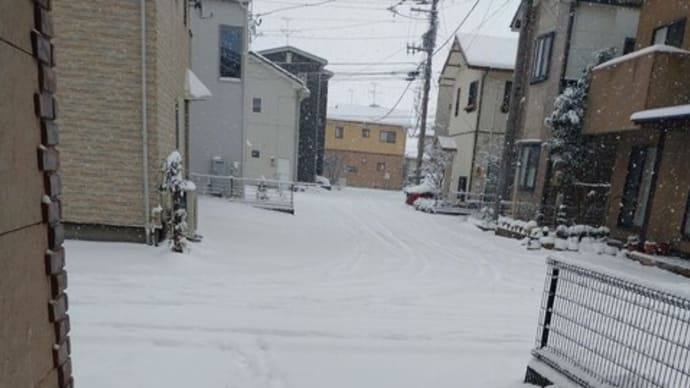 寒波のピークは過ぎた!?どこが・・・!!