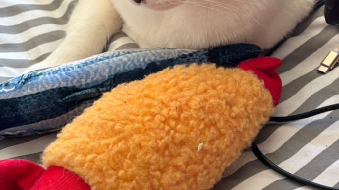 コテblog🐱🌄🐱☔️🐱