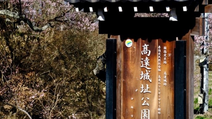 念願だった「天下第一の桜」-長野県伊那市:高遠城址公園