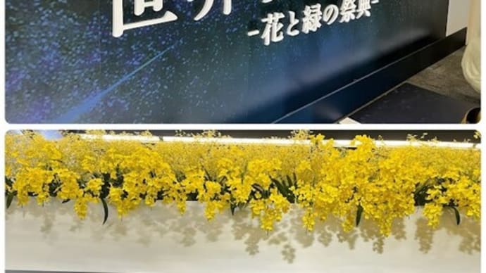 世界らん展2024