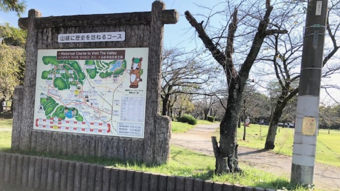 天覧山　多峯主山　はだし登山　アーシング